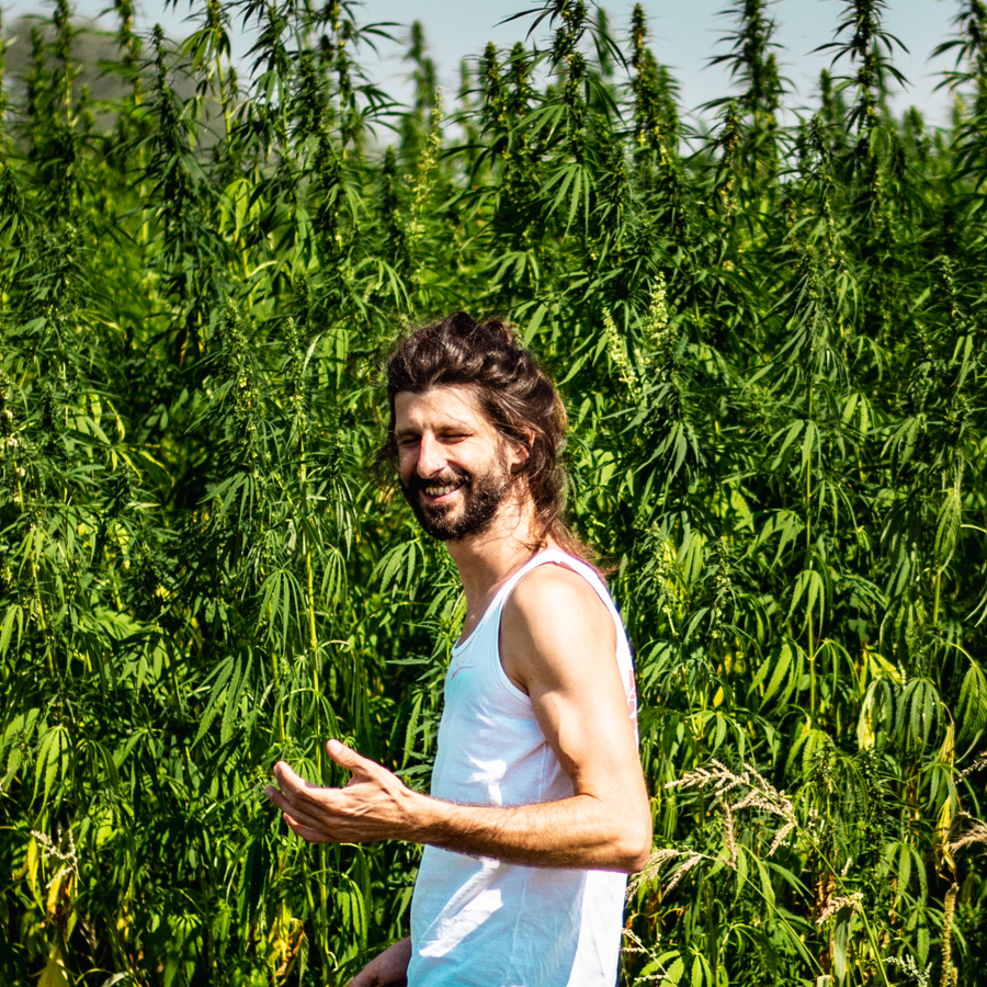 Cannabis Insurance Massachusetts