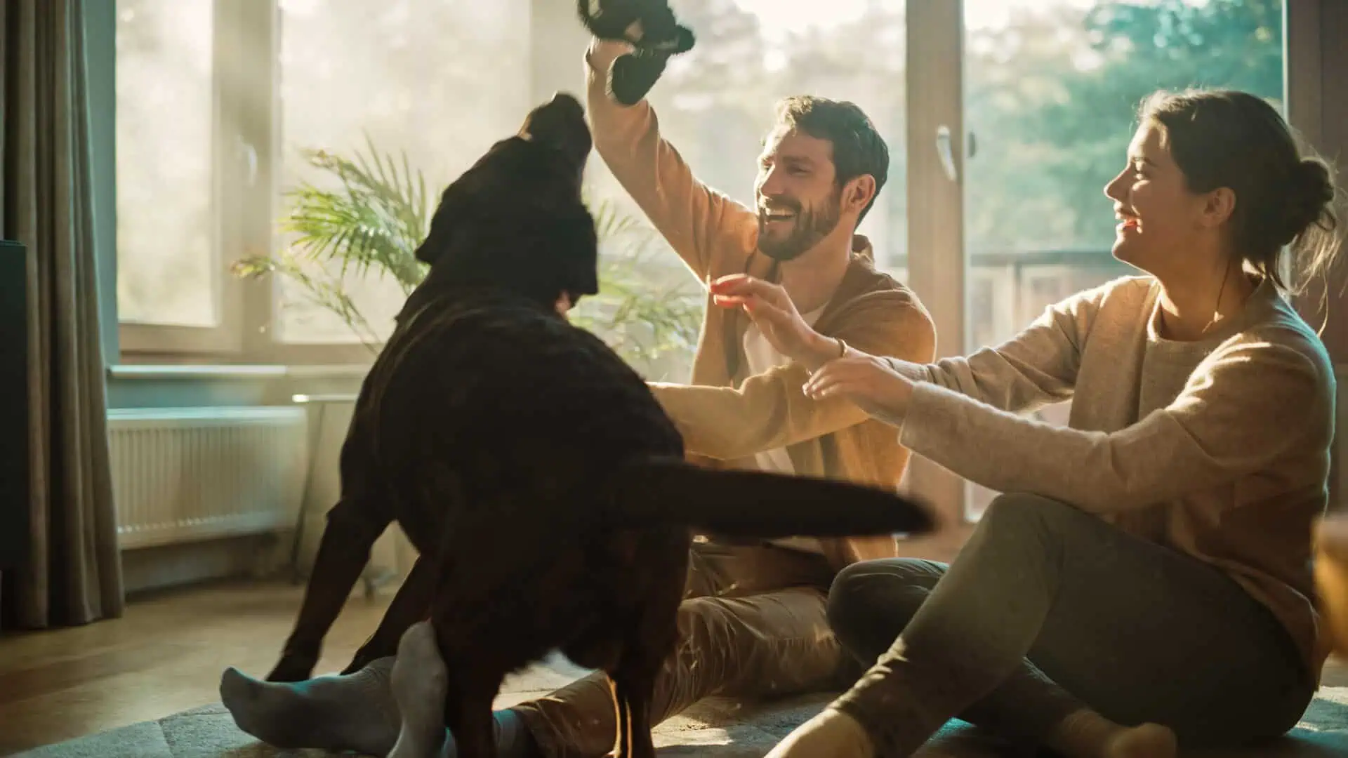 Personal Umbrella Insurance Massachusetts